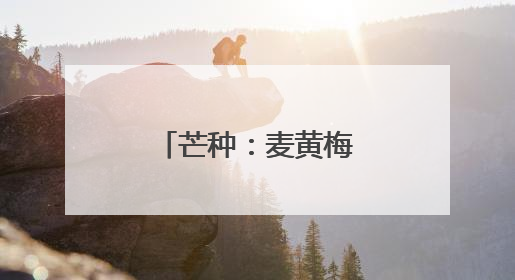 芒种：麦黄梅熟 种下希望