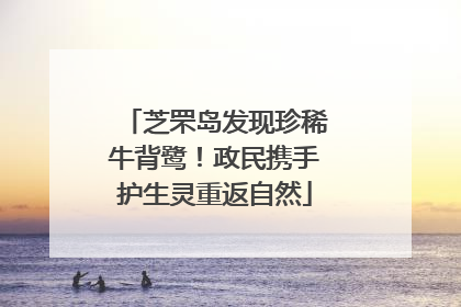 芝罘岛发现珍稀牛背鹭！政民携手护生灵重返自然