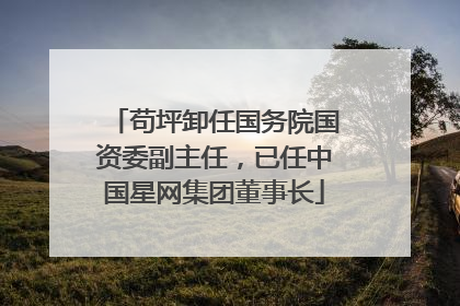 苟坪卸任国务院国资委副主任，已任中国星网集团董事长