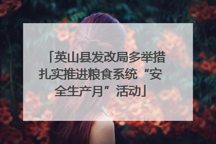英山县发改局多举措扎实推进粮食系统“安全生产月”活动