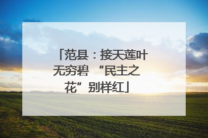 范县：接天莲叶无穷碧 “民主之花”别样红