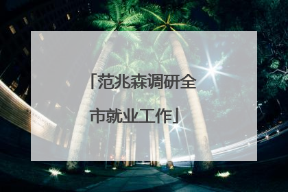 范兆森调研全市就业工作
