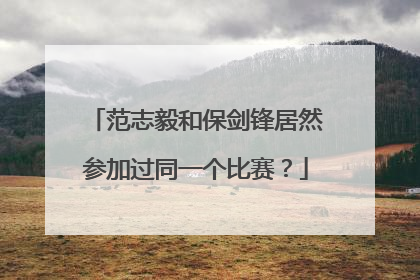 范志毅和保剑锋居然参加过同一个比赛？