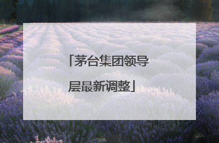 茅台集团领导层最新调整