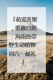 萌宠齐聚，童趣自然：海南热带野生动植物园六一献礼