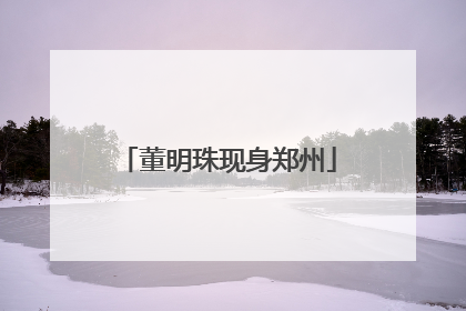 董明珠现身郑州