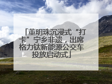 董明珠沉浸式“打卡”宁乡非遗，出席格力钛新能源公交车投放启动式