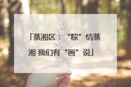 蒸湘区：“粽”情蒸湘 我们有“画”说