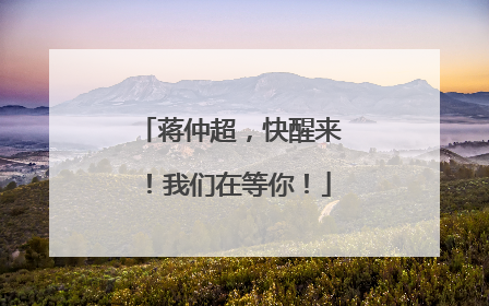 蒋仲超，快醒来！我们在等你！