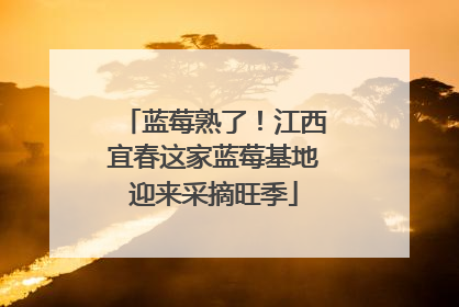 蓝莓熟了！江西宜春这家蓝莓基地迎来采摘旺季