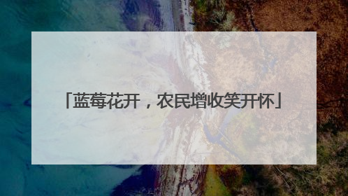 蓝莓花开，农民增收笑开怀