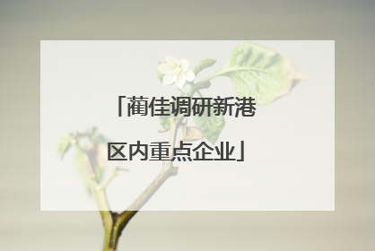 蔺佳调研新港区内重点企业