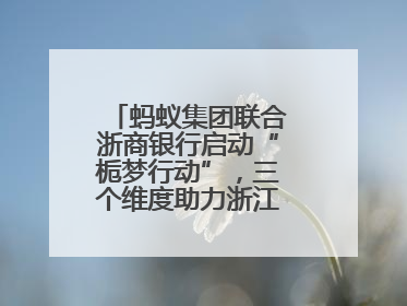 蚂蚁集团联合浙商银行启动“栀梦行动”，三个维度助力浙江下姜村建设共富示范区示范点