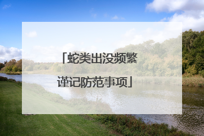 蛇类出没频繁 谨记防范事项