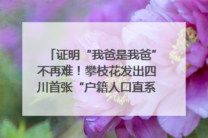 证明“我爸是我爸”不再难！攀枝花发出四川首张“户籍人口直系亲属关系谱”
