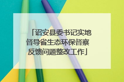 诏安县委书记实地督导省生态环保督察反馈问题整改工作