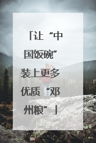 让“中国饭碗”装上更多优质“邓州粮”