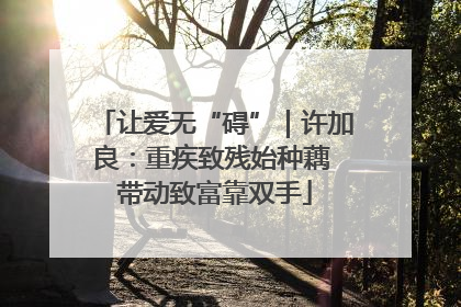 让爱无“碍”｜许加良：重疾致残始种藕 带动致富靠双手