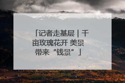 记者走基层｜千亩玫瑰花开 美景带来“钱景”