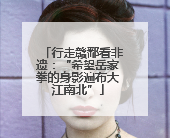 行走赣鄱看非遗：“希望岳家拳的身影遍布大江南北”