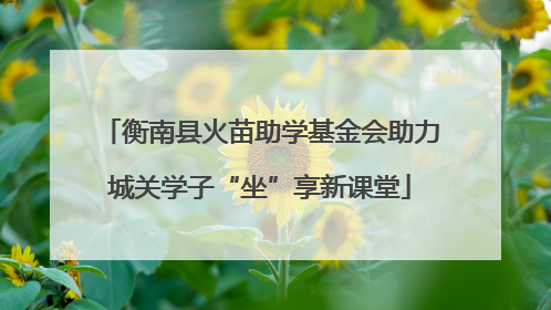 衡南县火苗助学基金会助力城关学子“坐”享新课堂
