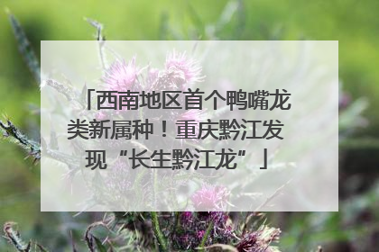 西南地区首个鸭嘴龙类新属种！重庆黔江发现“长生黔江龙”