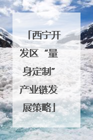 西宁开发区“量身定制”产业链发展策略