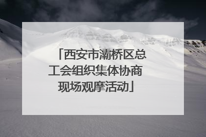 西安市灞桥区总工会组织集体协商现场观摩活动