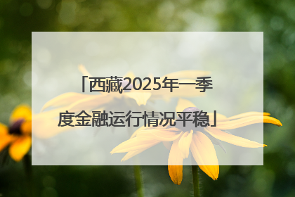 西藏2025年一季度金融运行情况平稳