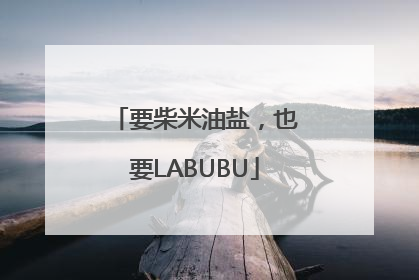 要柴米油盐，也要LABUBU