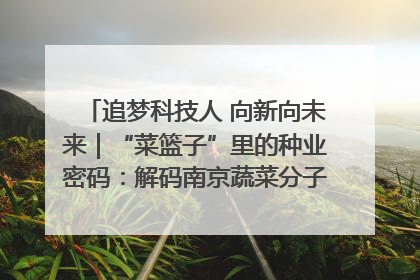 追梦科技人 向新向未来｜“菜篮子”里的种业密码：解码南京蔬菜分子育种的创新之路