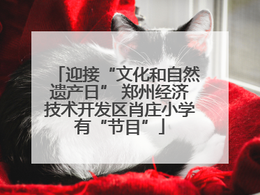 迎接“文化和自然遗产日” 郑州经济技术开发区肖庄小学有“节目”