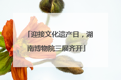 迎接文化遗产日，湖南博物院三展齐开
