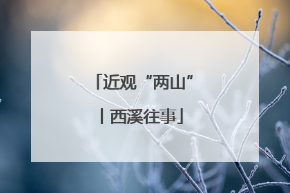 近观“两山”丨西溪往事