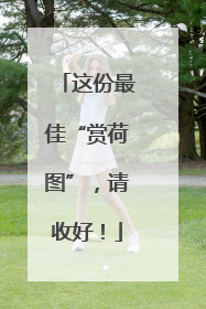 这份最佳“赏荷图”，请收好！
