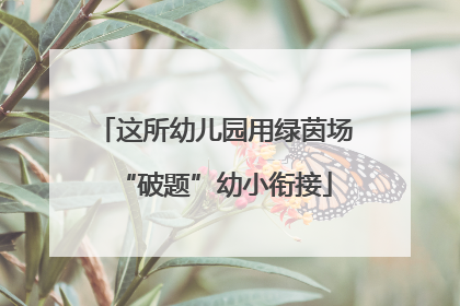 这所幼儿园用绿茵场“破题”幼小衔接