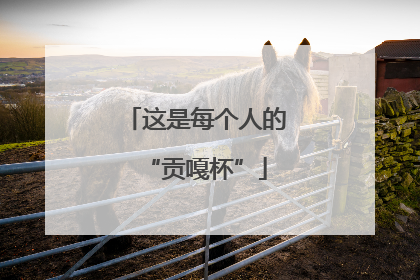 这是每个人的“贡嘎杯”