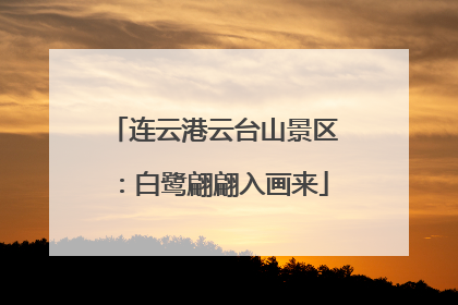 连云港云台山景区：白鹭翩翩入画来