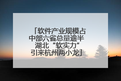 软件产业规模占中部六省总量逾半 湖北“软实力”引来杭州两小龙