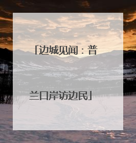 边城见闻：普兰口岸访边民