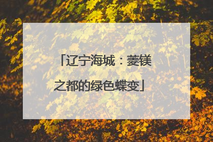 辽宁海城：菱镁之都的绿色蝶变
