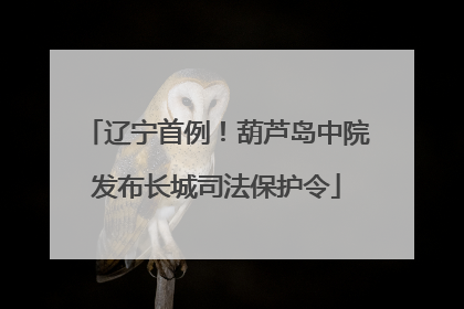 辽宁首例！葫芦岛中院发布长城司法保护令