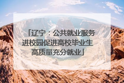 辽宁：公共就业服务进校园促进高校毕业生高质量充分就业