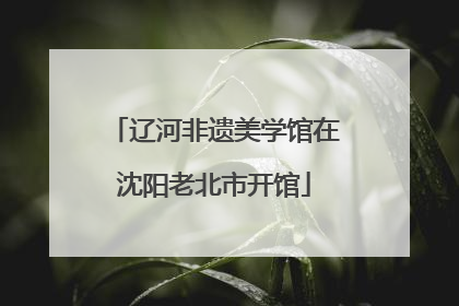 辽河非遗美学馆在沈阳老北市开馆