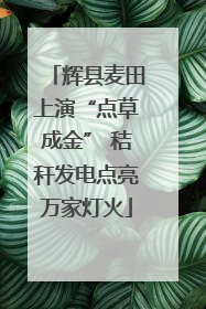 辉县麦田上演“点草成金” 秸秆发电点亮万家灯火
