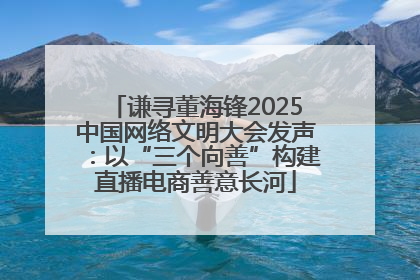 谦寻董海锋2025中国网络文明大会发声：以“三个向善”构建直播电商善意长河