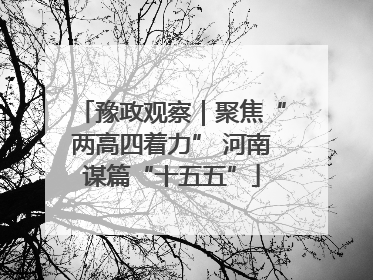 豫政观察｜聚焦“两高四着力” 河南谋篇“十五五”
