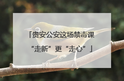 贵安公安这场禁毒课“走新”更“走心”