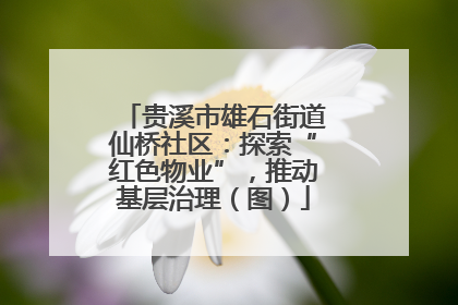 贵溪市雄石街道仙桥社区：探索“红色物业”，推动基层治理（图）