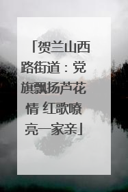 贺兰山西路街道：党旗飘扬芦花情 红歌嘹亮一家亲